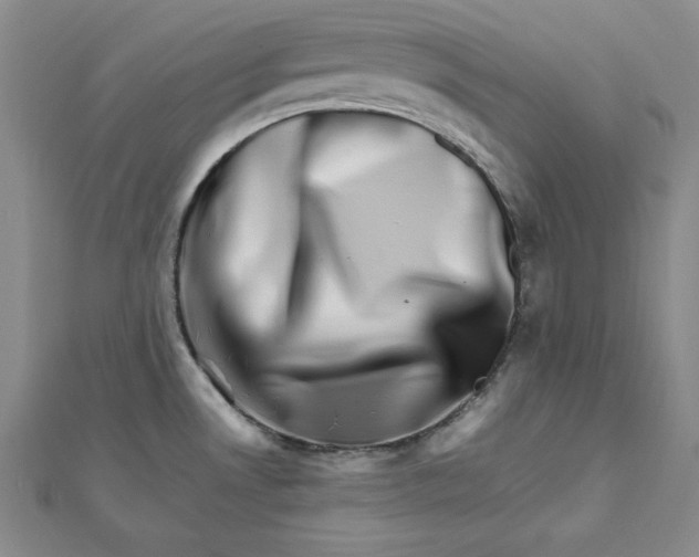 X0000111681530200908071415