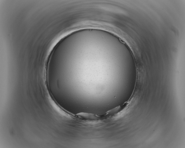 X0000111681531200908071415