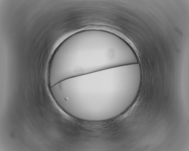 X0000111681533200908071415