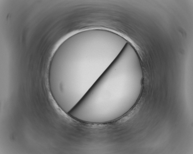 X0000111681534200908071415