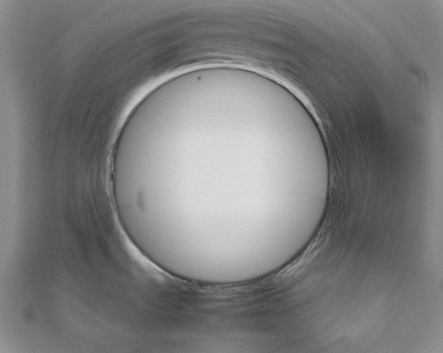 X0000111681535200908071415