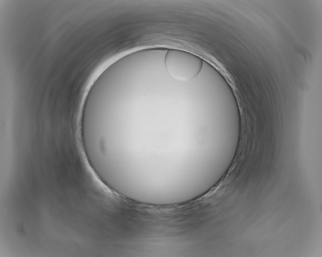 X0000111681536200908071415