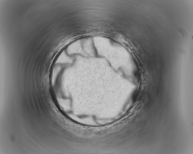 X0000111680002200908141459