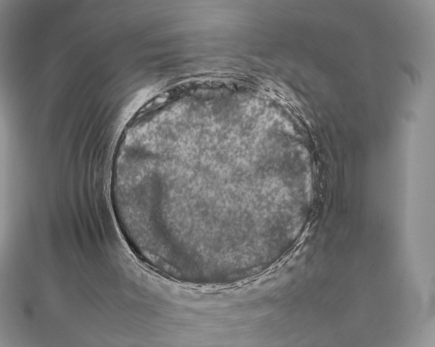 X0000111680003200908141459