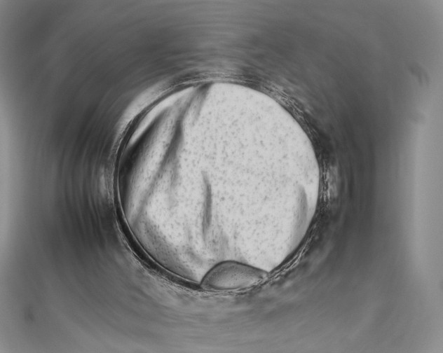 X0000111680004200908141459