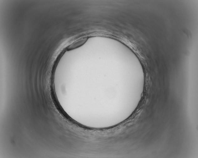 X0000111680007200908141459