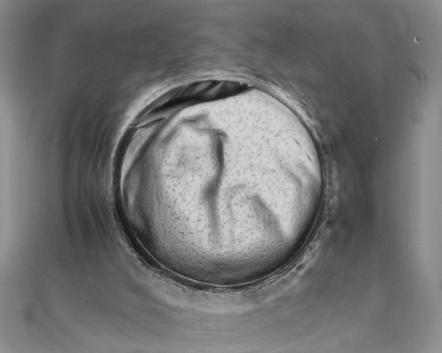 X0000111680008200908141459