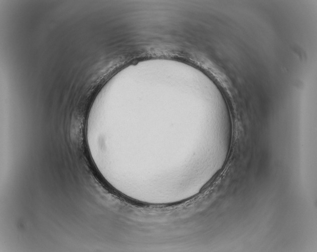 X0000111680009200908141459