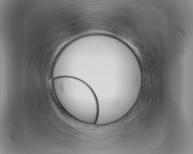 X0000111680015200908141459