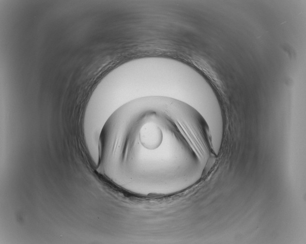 X0000111680021200908141459