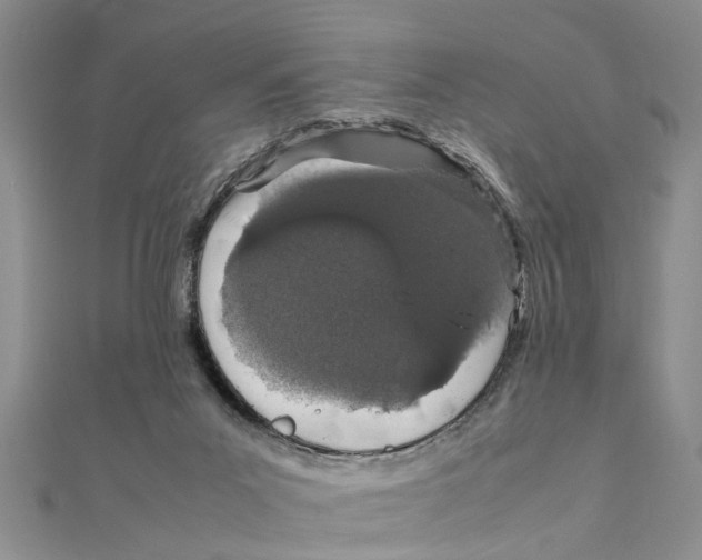 X0000111680023200908141459