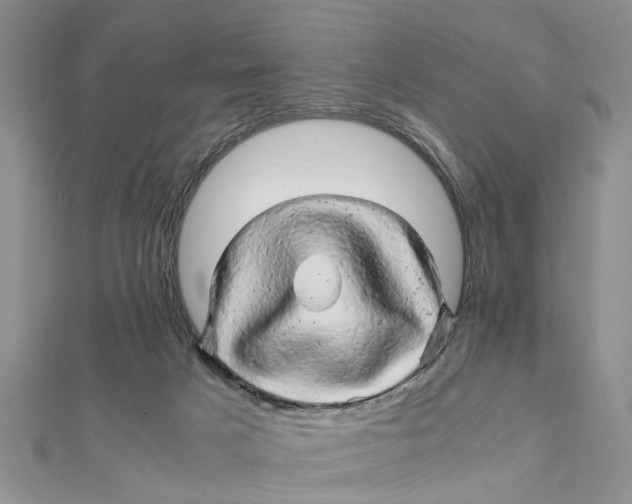 X0000111680025200908141459