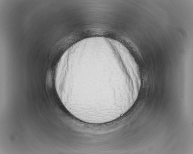 X0000111680026200908141459