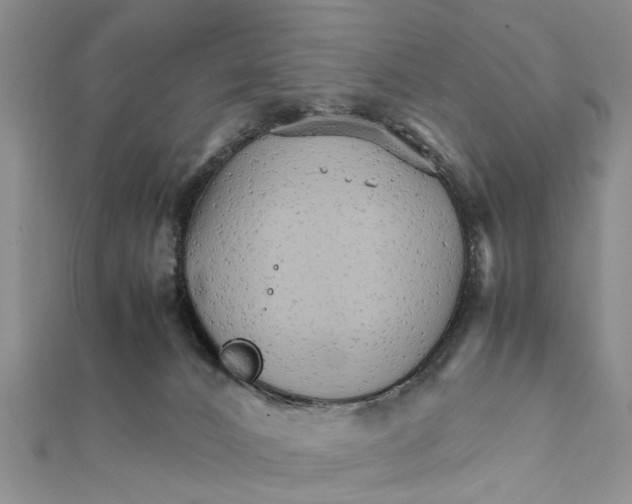 X0000111680032200908141459