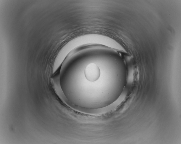 X0000111680036200908141459