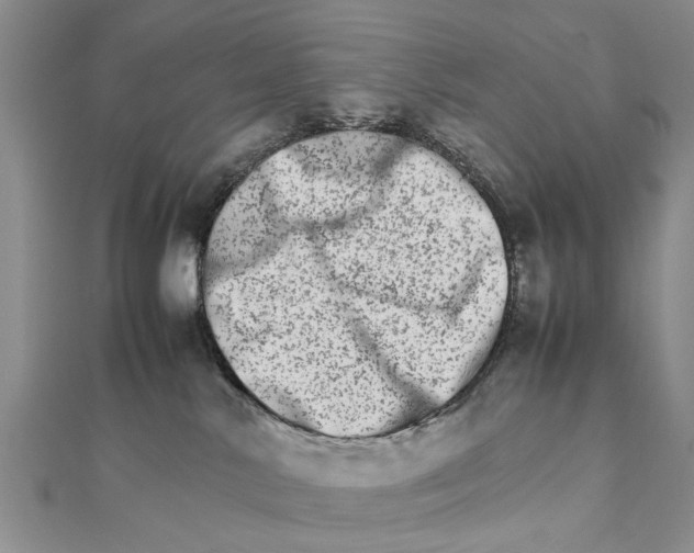 X0000111680042200908141459