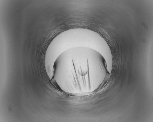 X0000111680045200908141459