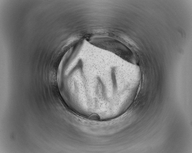 X0000111680048200908141459