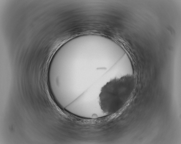 X0000111680049200908141458