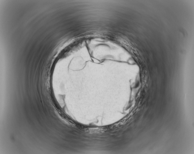 X0000111680050200908141458