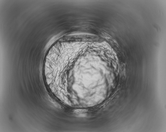 X0000111680051200908141458