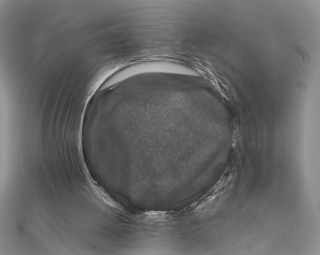 X0000111680052200908141458