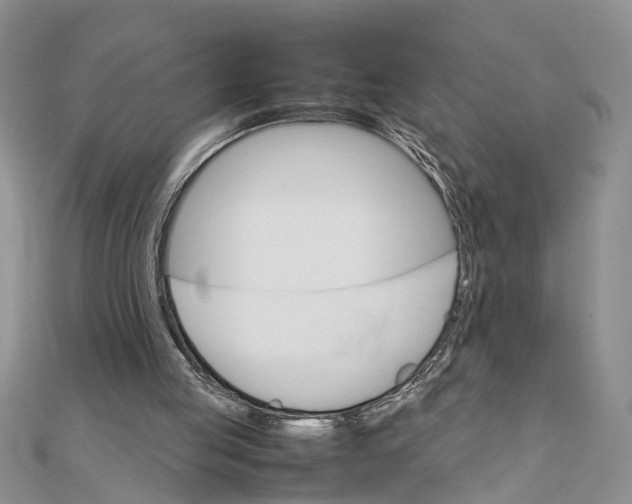 X0000111680053200908141458