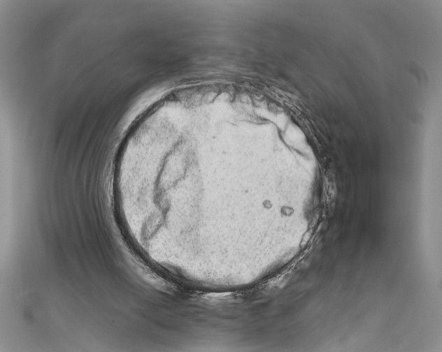 X0000111680054200908141458