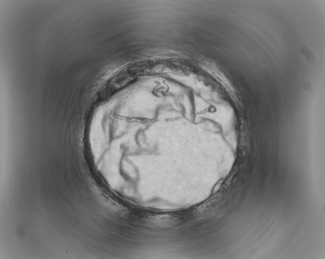 X0000111680058200908141458