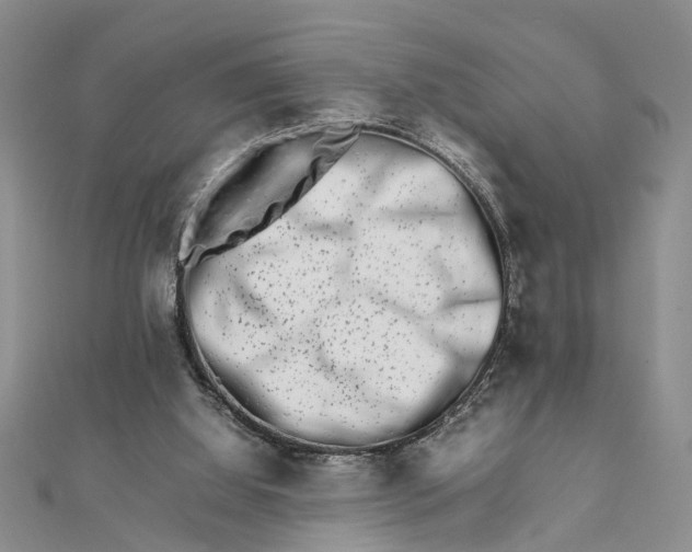 X0000111680060200908141458