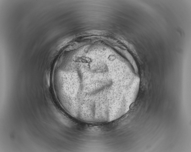 X0000111680062200908141458