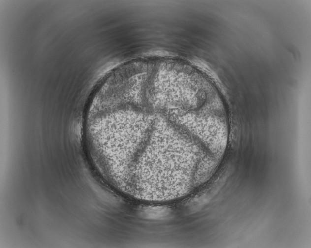 X0000111680063200908141458