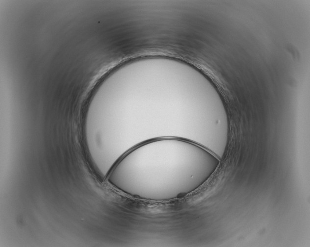 X0000111680064200908141458