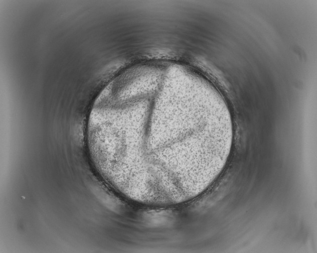 X0000111680065200908141458