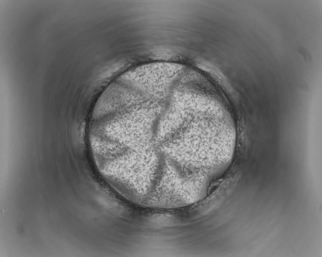 X0000111680066200908141458