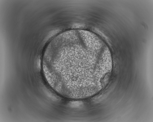 X0000111680067200908141458