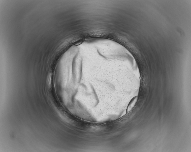 X0000111680070200908141458