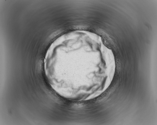 X0000111680071200908141458