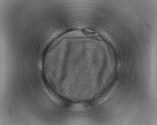 X0000111680072200908141458