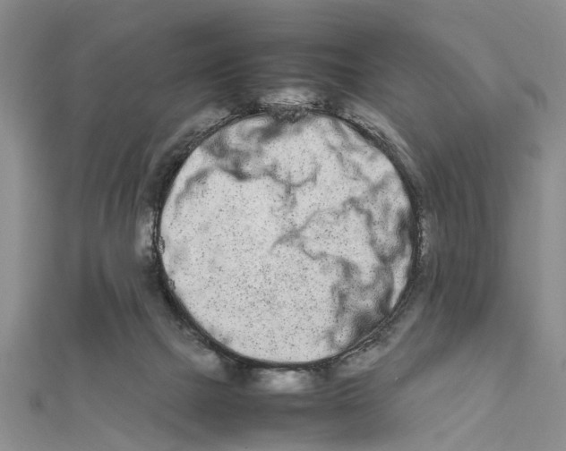 X0000111680073200908141458