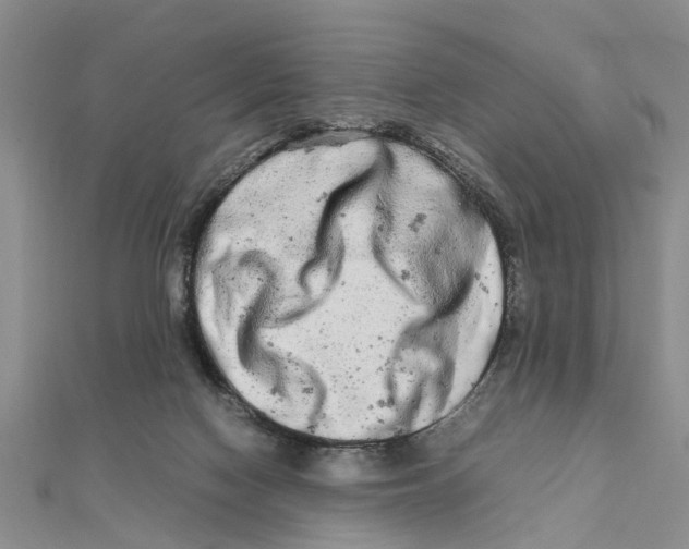 X0000111680074200908141458