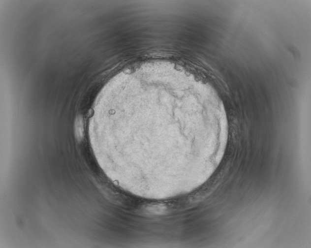 X0000111680075200908141458