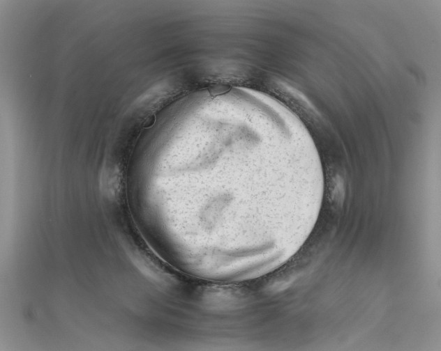 X0000111680077200908141458