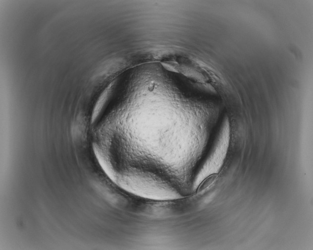 X0000111680078200908141458