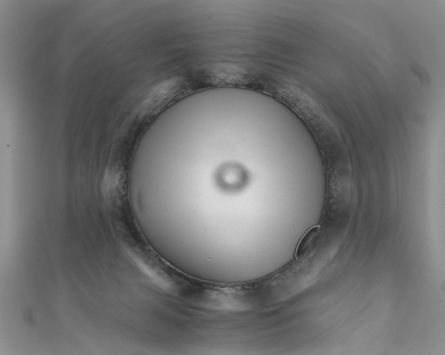 X0000111680079200908141458