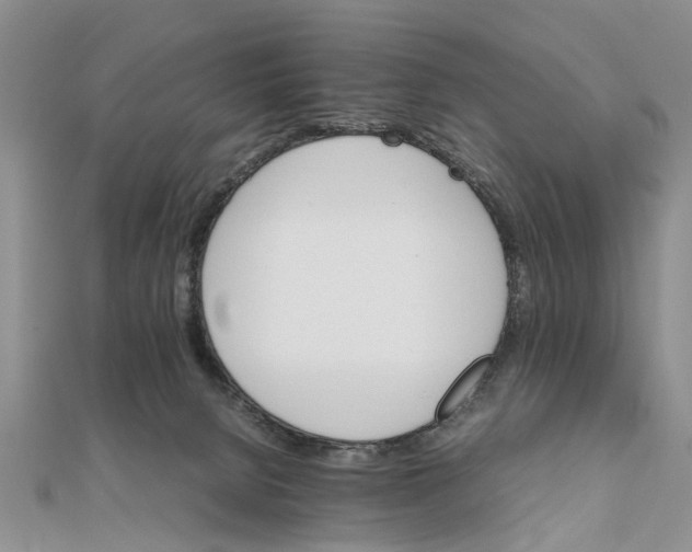 X0000111680080200908141458