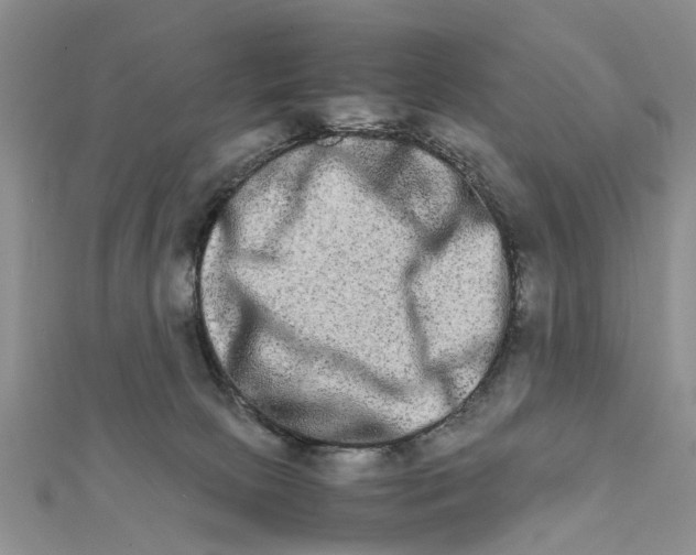 X0000111680081200908141458