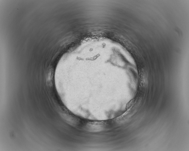 X0000111680082200908141458