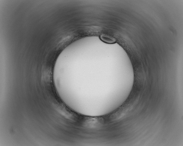 X0000111680083200908141458