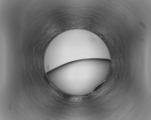 X0000111680084200908141458